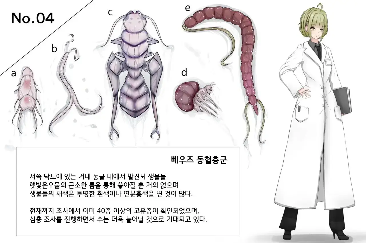 Insect Research Report